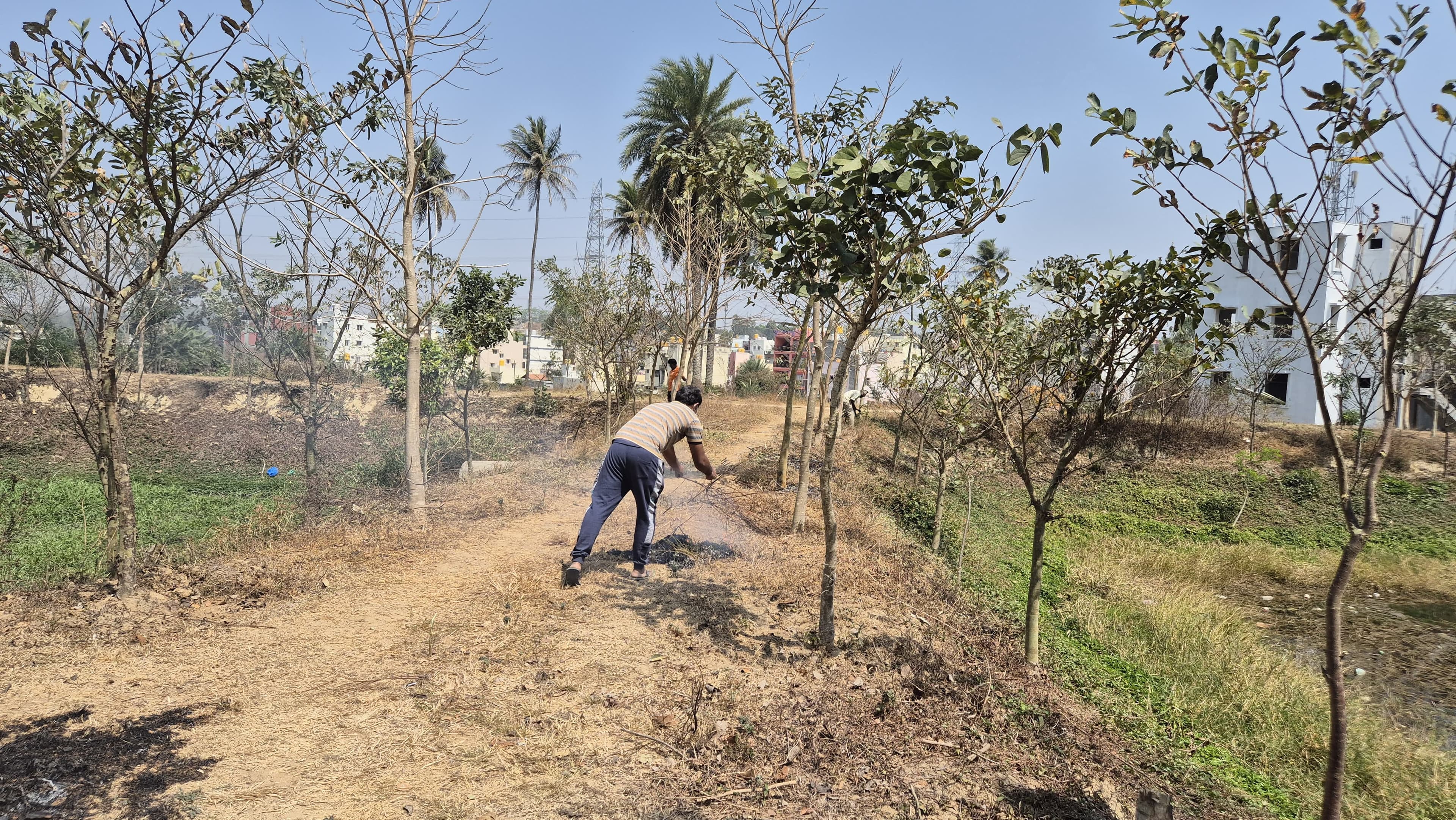 Park Clean — photo 2