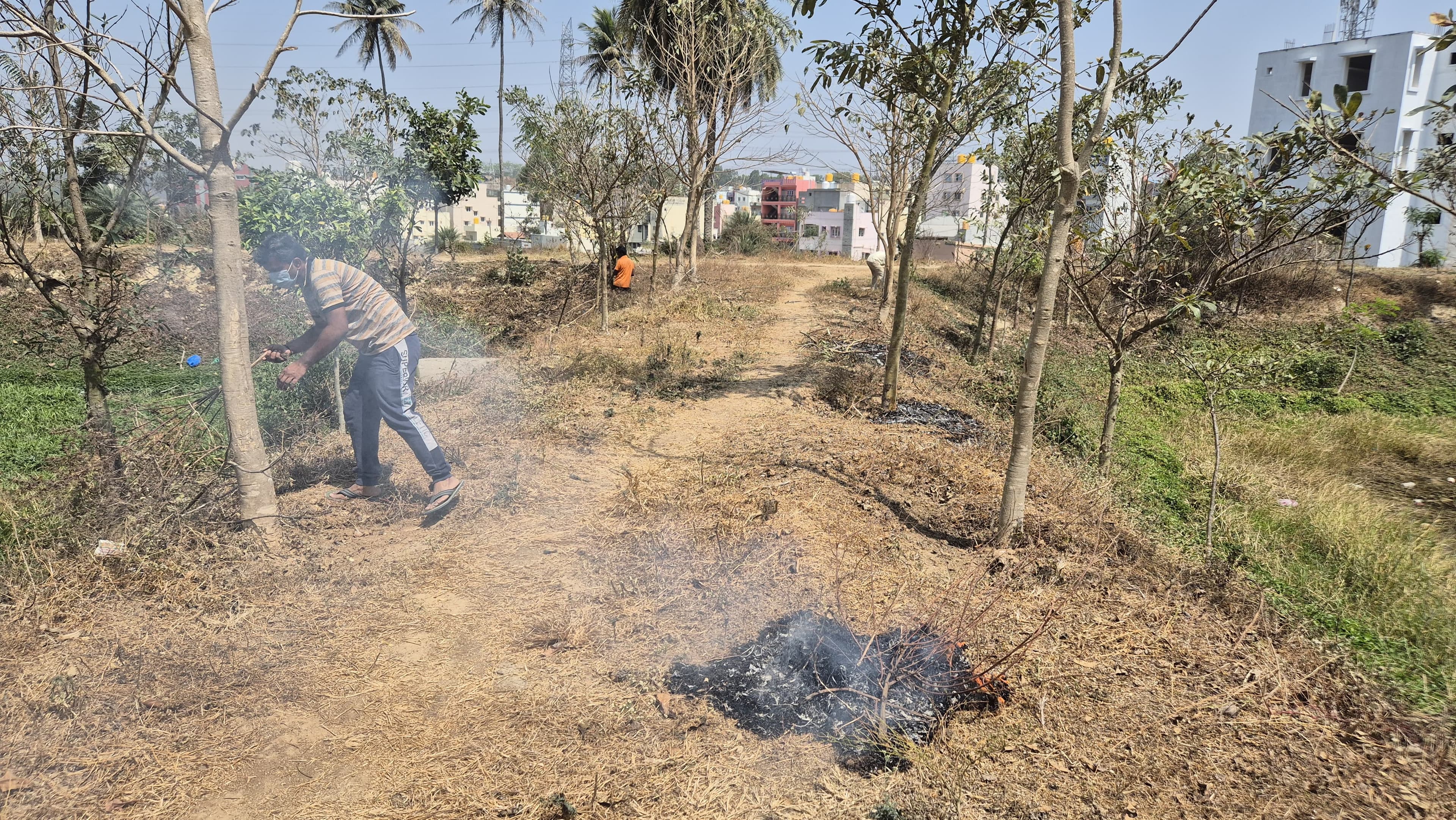 Park Clean — photo 3