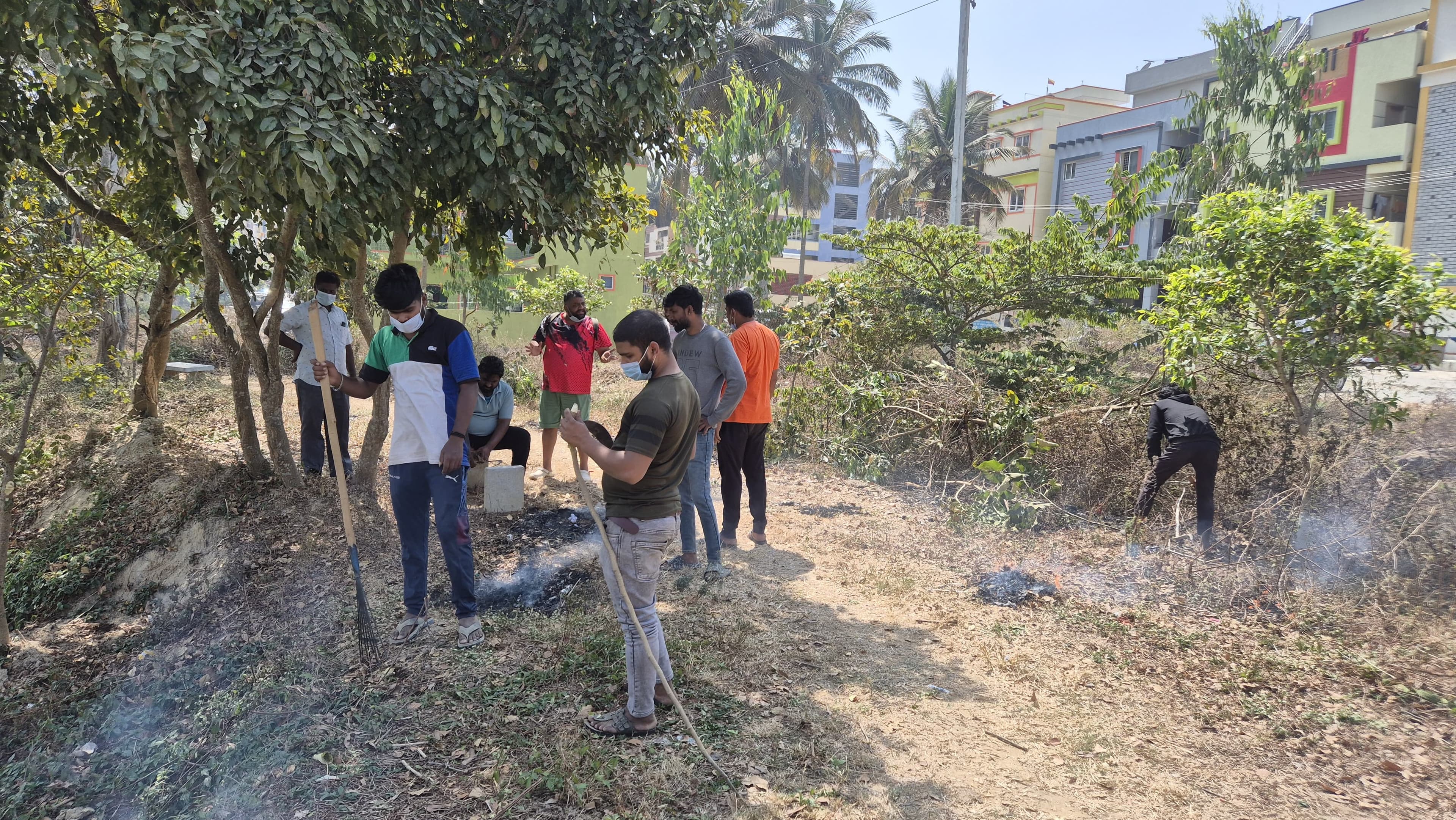 Park Clean — photo 4