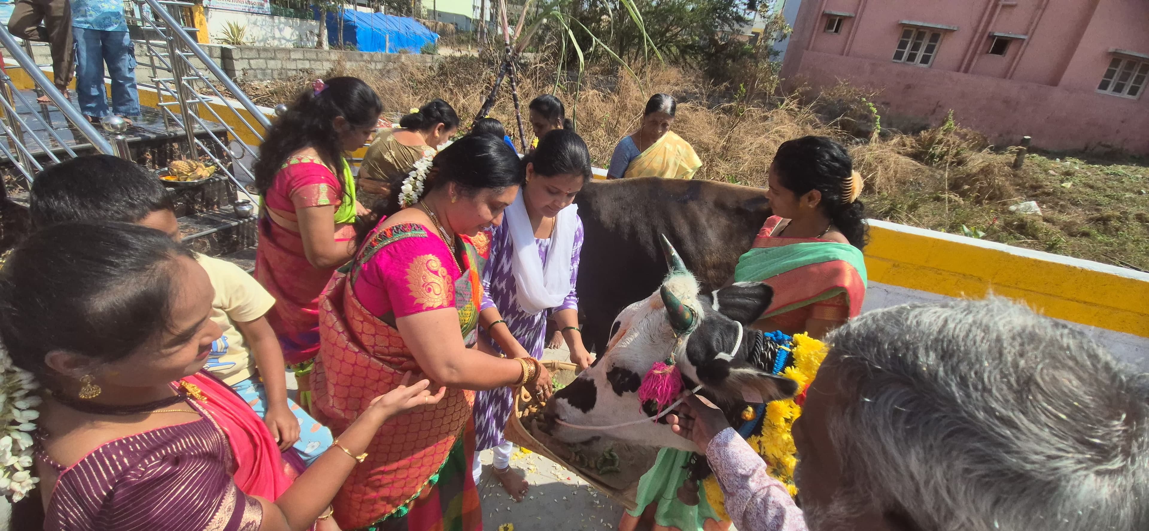 Shankranti
