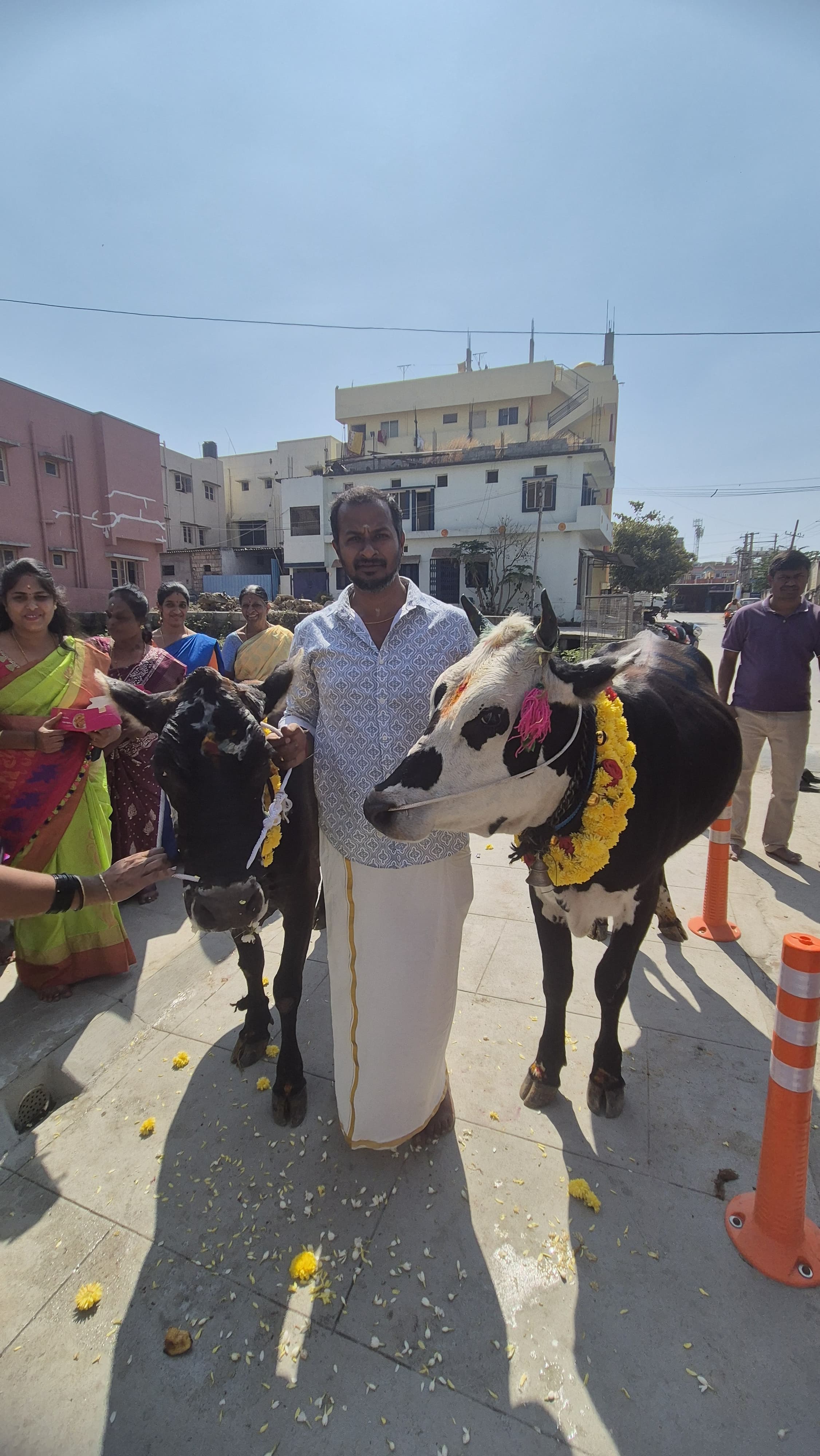 Shankranti — photo 4