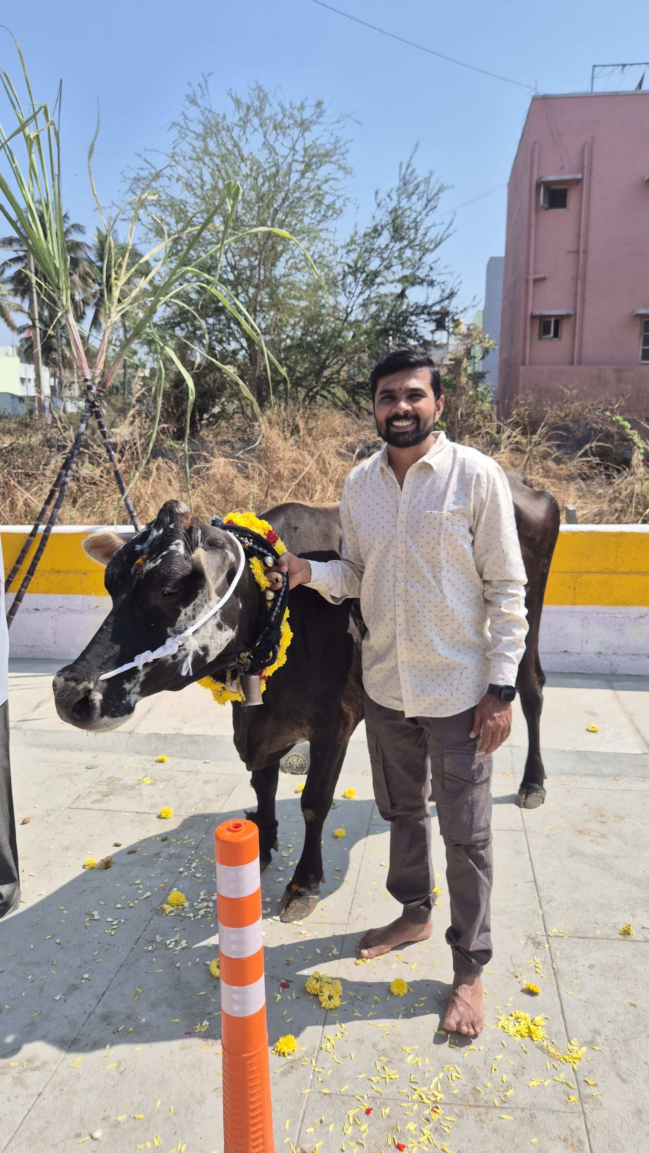 Shankranti — photo 6